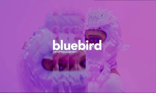 bluebird artists